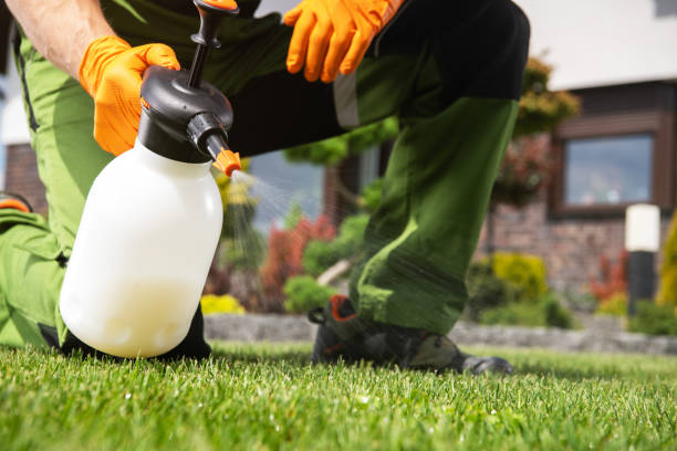 Wasp Removal Services in Bartlesville, OK