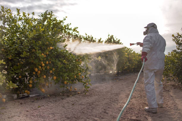 Best Cockroach Control Services  in Bartlesville, OK