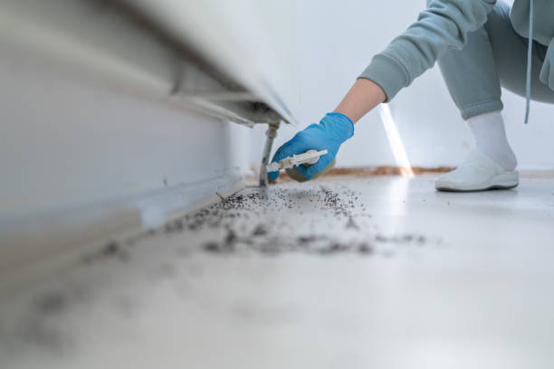 Best Pest Inspection Near Me  in Bartlesville, OK