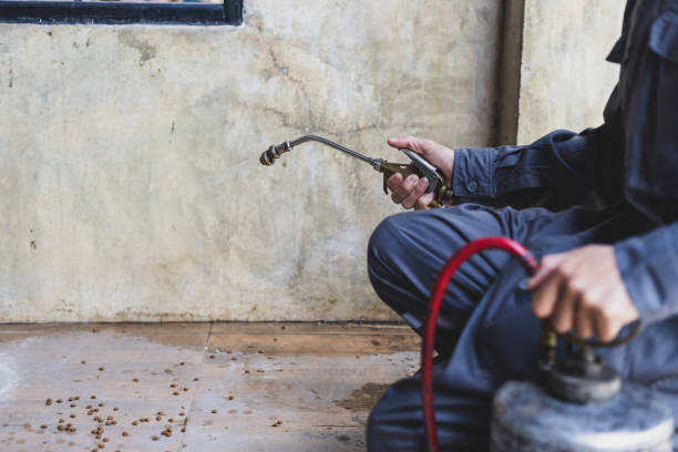 Best Flea Control Services  in Bartlesville, OK